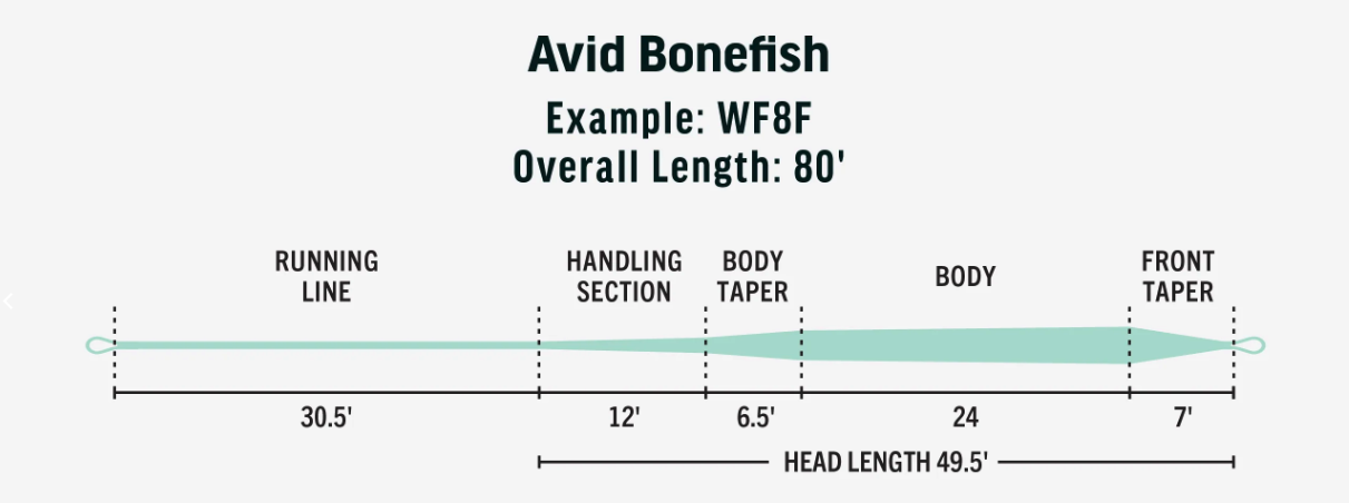 Rio Avid Bonefish Fly Line Buy Bonefish Fly Lines Online Best Price