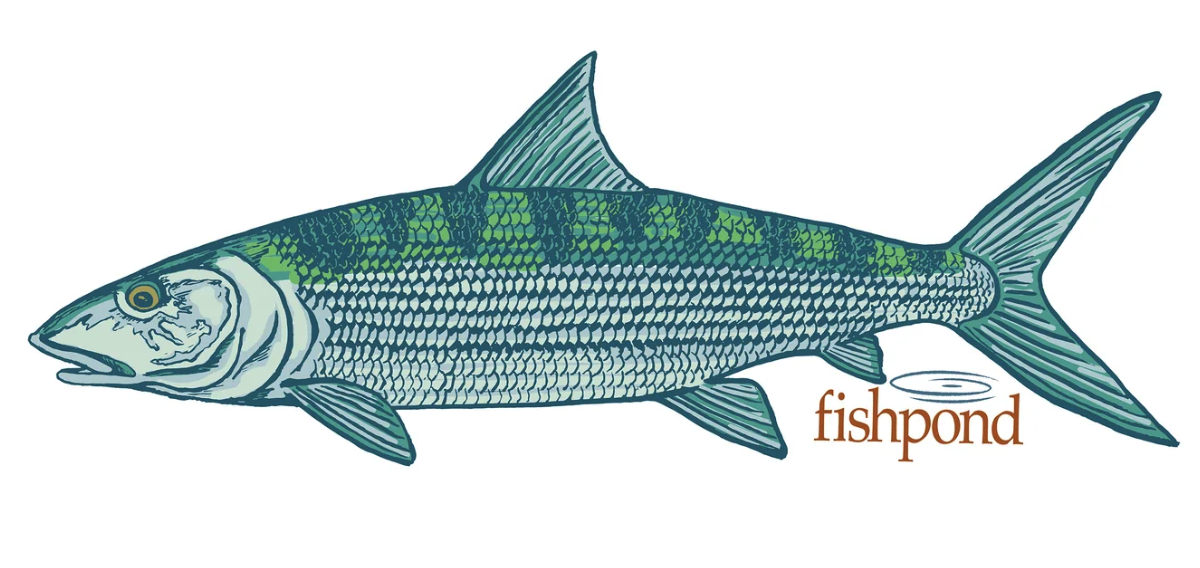 Shop the best saltwater fly fishing stickers for species like bonefish.