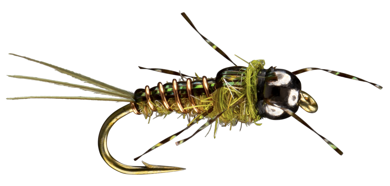 Top Performing Fly Fishing Flies Assortment | Dry, Wet, Nymphs, Streamers,  Wooly Buggers, Caddis | Trout, Bass Fishing Lure