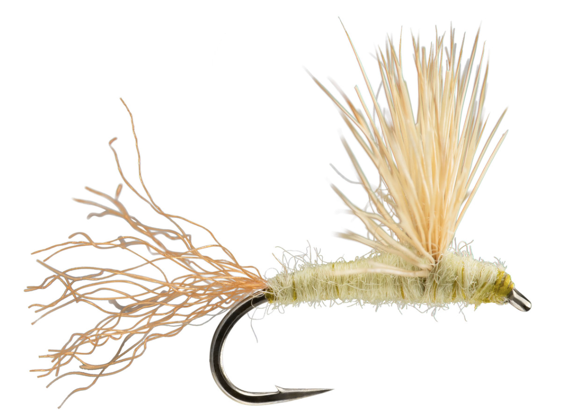 Sparkle Dun Trout Fly | Best Spring Creek Dry Flies | Buy Online | The ...