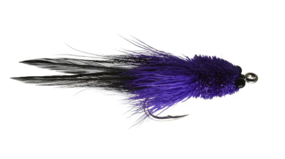 Colby's Sol Tarpon fly in black/purple color.