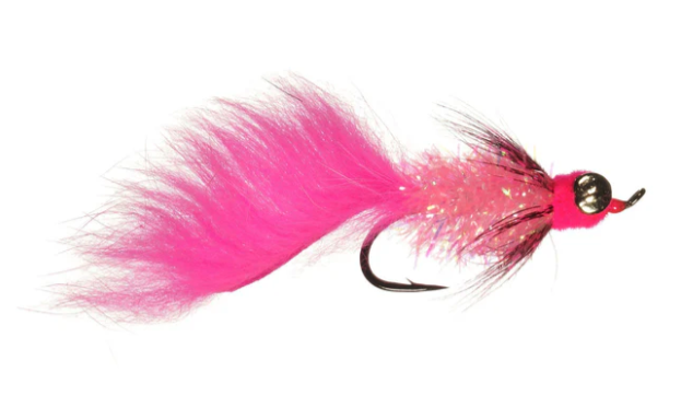 Fat Cat Leech fly in pink color.