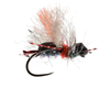 Mason's Bant fly in black and red color.