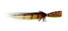 Predator Popper Orange Yellow color