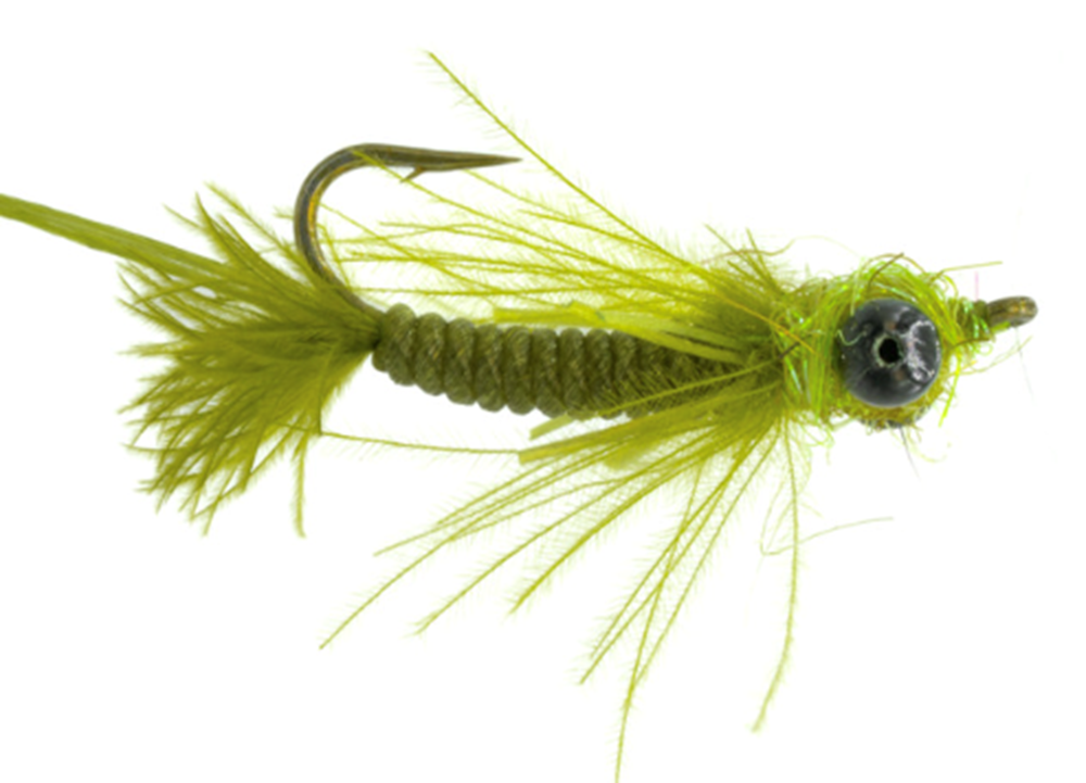 https://www.theflyfishers.com/Content/files/Flies/Umpqua/TwistedDamselOlive.png?width=1000&height=800&mode=max