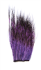 Patch of peccary hair that has been dyed deep purple