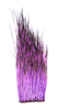 Patch of peccary hair that has been dyed purple