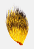 Patch of peccary hair that has been dyed sunflower yellow