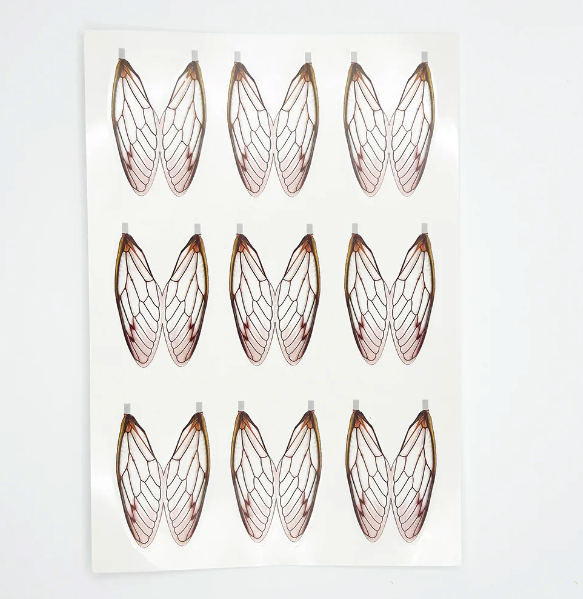 Shop Surface Seducer Cicada Wings online at the best price.