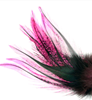 Hareline Coq De Leon UV Perdigon Fire Tail Feathers Are The Perfect Fly Tying Tail Material For Tying Perdigon Trout Flies