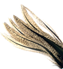 Hareline Coq De Leon UV Perdigon Fire Tail Feathers Are The Perfect Fly Tying Tail Material For Tying Perdigon Trout Flies