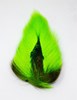 Nature's Spirit Bucktail fibers ideal for crafting enticing streamers and dry flies.