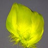 High-grade Mallard Spey Sides feathers for crafting steelhead flies.