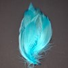 Premium Mallard Spey Sides hackle for fly fishing flies by Nature Spirit.