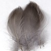 Shorter high-quality Mallard Spey Sides feathers for salmon fly tying.