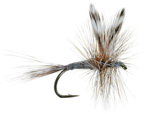 Shop Dry Flies for Fly Fishing