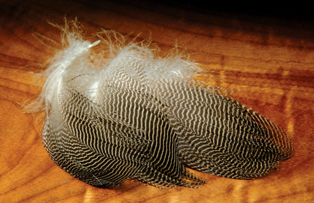 Hareline Gadwall Feathers, Best Fly Tying Feathers, Trout Streamer  Feathers, Available Online