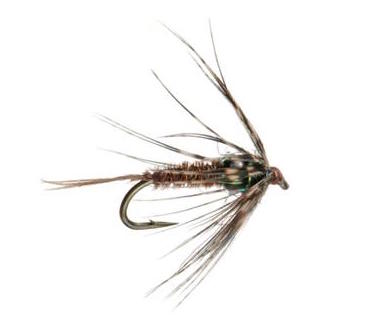 Nymphs & Wet Fly Fishing Flies for Sale