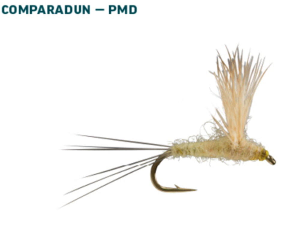 RIO PMD Dry Fly Assortment, Best Trout Dry Flies