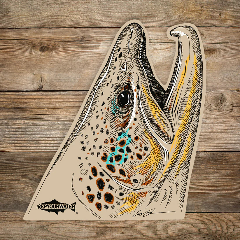 Sticker showing the head of a brown trout rising out of water