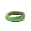 Fly line coil for Scientific Angler's Amplitude Smooth Trout Standard Fly Line