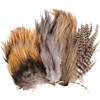 Coq De Leon feathers for sale