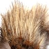 Whiting's exclusive Coq de Leon rooster and hen feathers for versatile fly tying