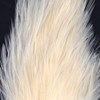 Elevate your fly fishing with Whiting Farms Coq de Leon feathers