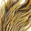 High-quality Whiting Farms Coq de Leon feathers for Euro Nymph fly patterns