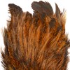 High-quality Whiting Farms Coq de Leon feathers for Mayfly dry fly patterns