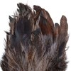 Whiting Farms Coq de Leon feathers for precise Mayfly Dry Fly tails