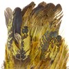 Elevate your fly tying with Whiting Farms Coq de Leon Mayfly tailing feathers