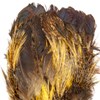 Whiting Farms Coq de Leon tailing feathers - ideal for Mayfly dry fly patterns